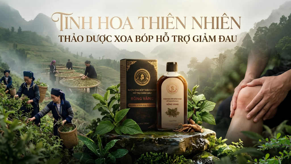 Thảo dược xoa bóp Rồng Vàng hỗ trợ giảm đau nhức và tê mỏi